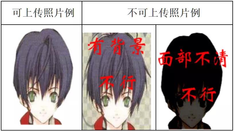 照片示例图 照片示例图