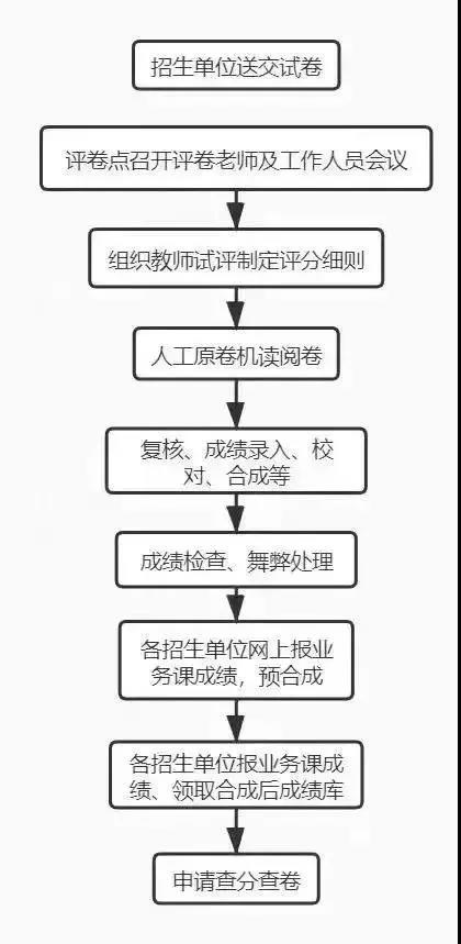 考研阅卷流程图