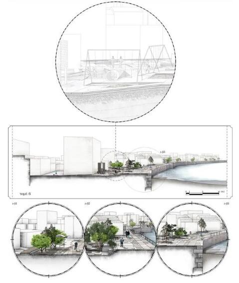 剖面分析表达 剖面分析表达